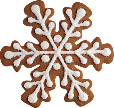 snowflake-cookie-sd101477toc9s_horizfixed.png