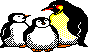 :penguins:
