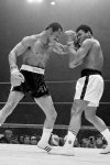 box_a_norton-ali01jr_200x300.jpg