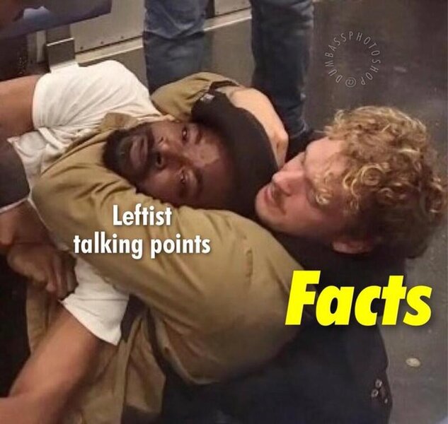 Talking Point Facts.jpg