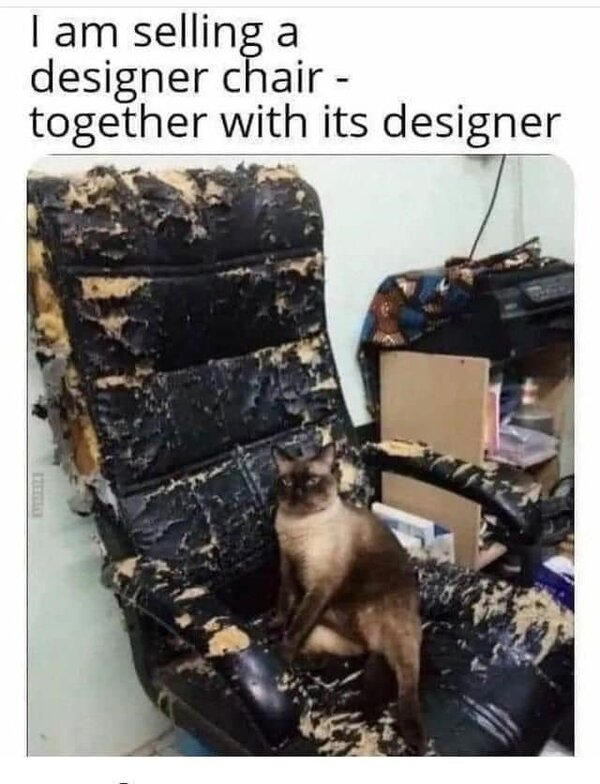 designer chair.jpg