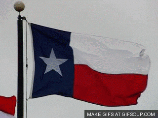 Texas Flag Flowing.gif