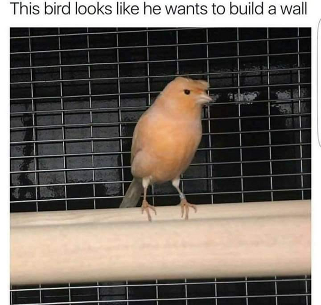 1695854528325.png