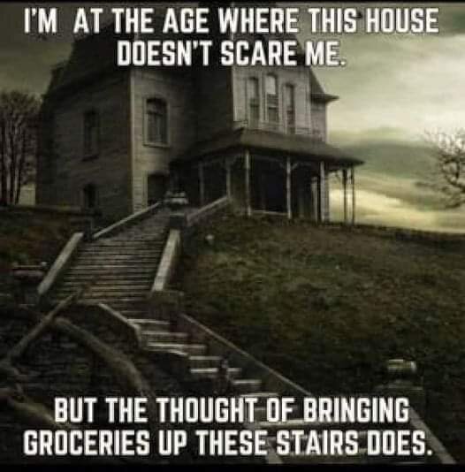 FB_IMG_1697295546163.jpg