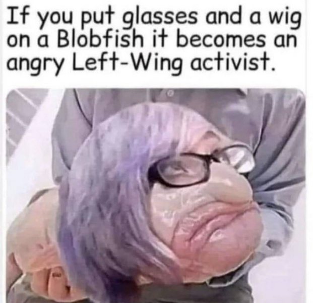 1697335872450.png