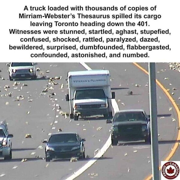 FB_IMG_1697999539543.jpg