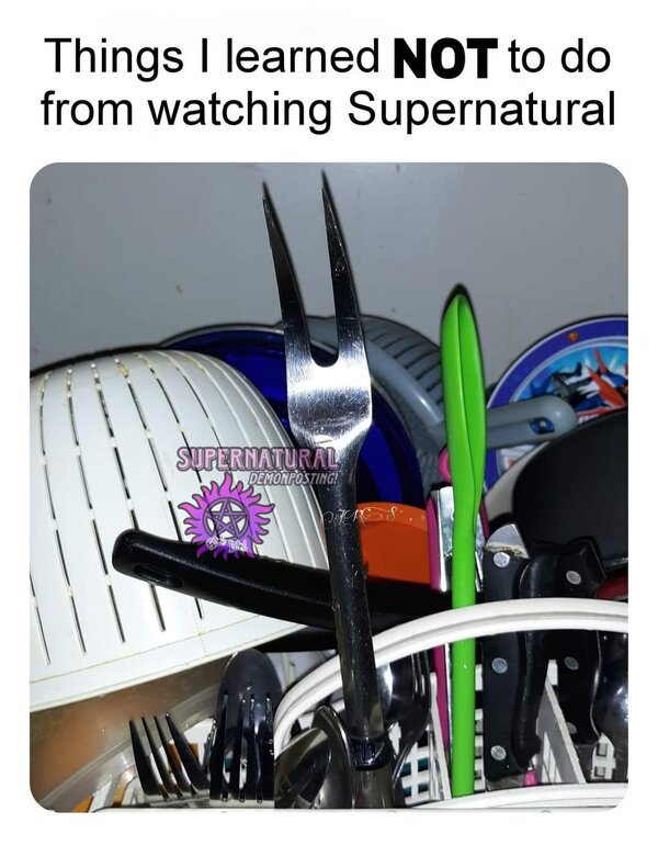 1000002006.jpg