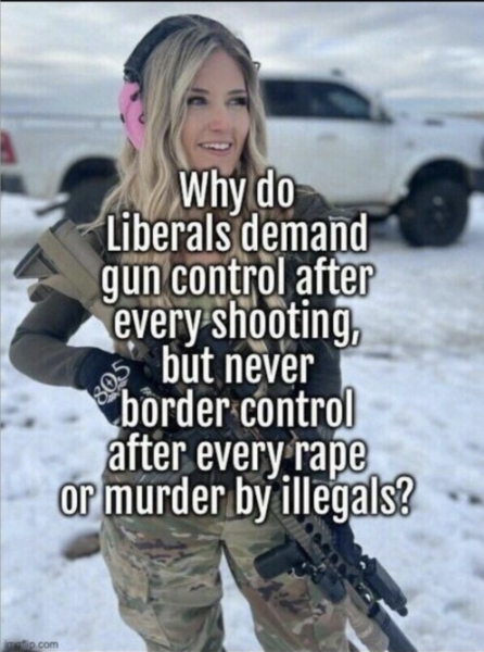 Border vs Gun Control.png