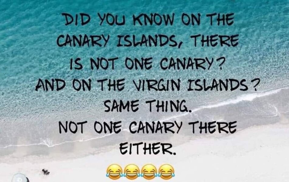 1000003835.jpg