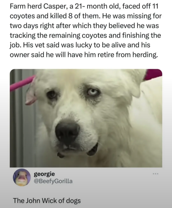 Screenshot_20250517-110451-919.png