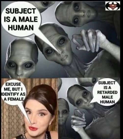 1748431157808.png