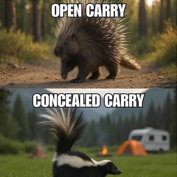 1752443077518.png