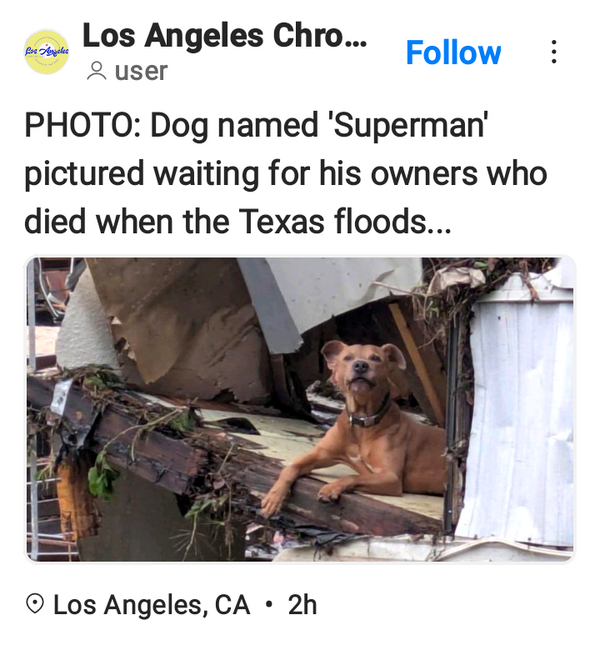 1000000399.png