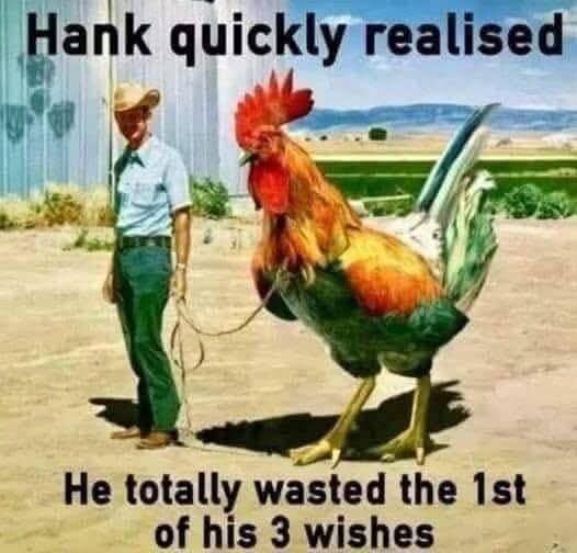 1000025157.jpg