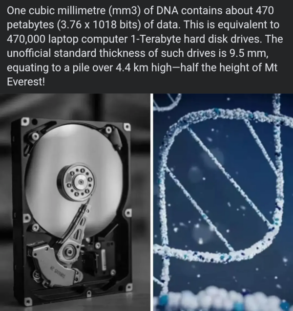Screenshot_20250730-192701-857.png