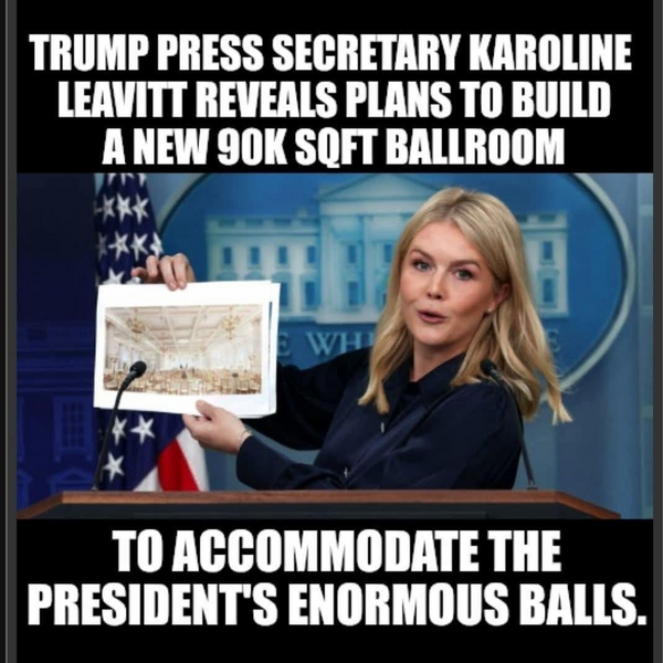 1754091778127.png