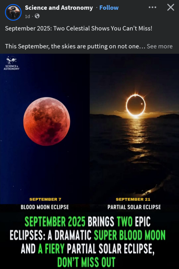 Screenshot_20250813-205630-026.png