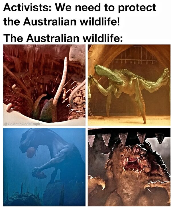 1000026613.jpg