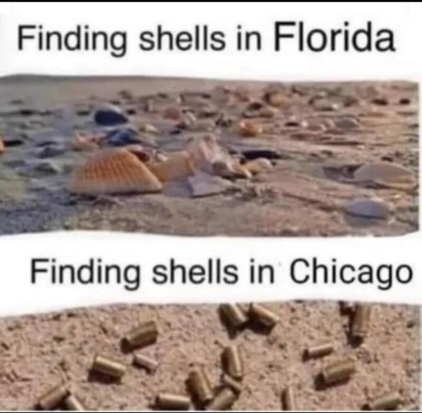 1757085724688.png