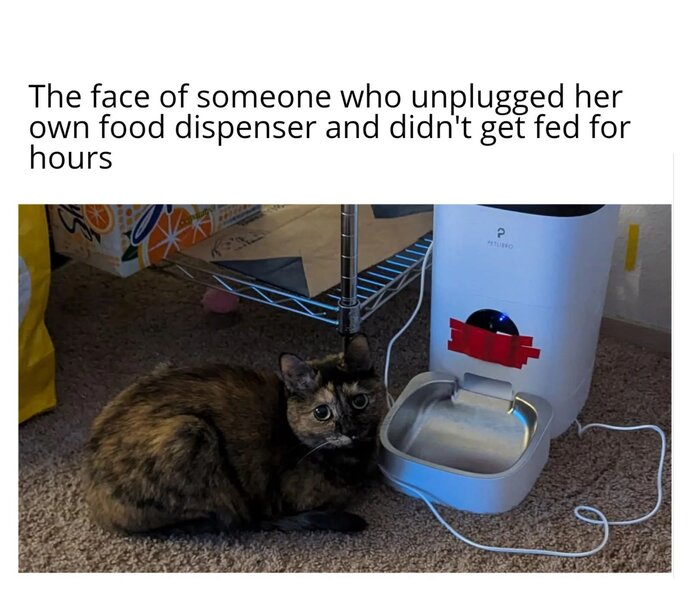 1000027702.jpg