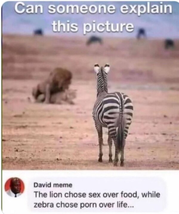 1757311134994.jpeg
