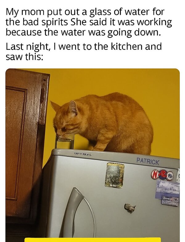 1000027912.jpg