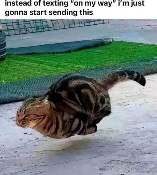 1000027704.jpg
