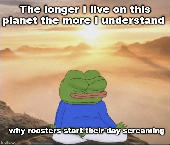 1758279474325.png