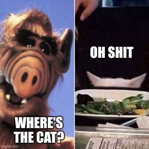 1000028904.jpg