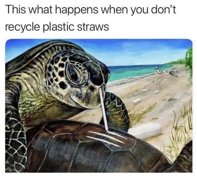 1758984092321.jpeg