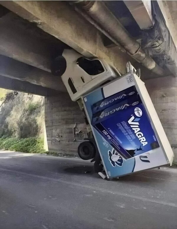 1000029340.jpg