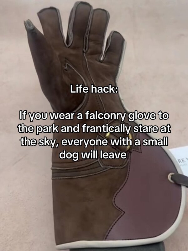 1000030266.jpg