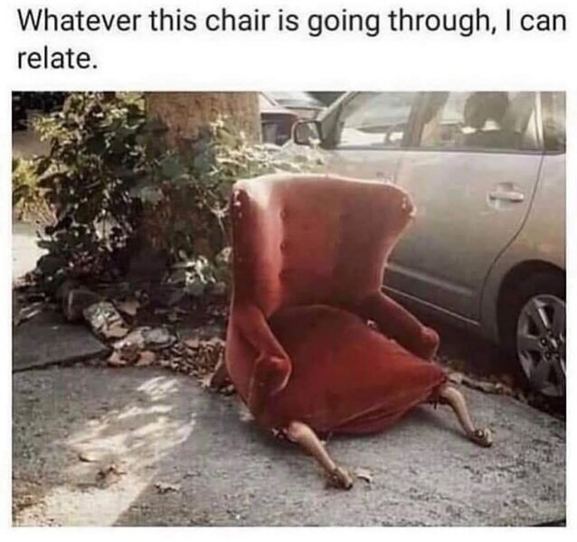 1000046282.jpg
