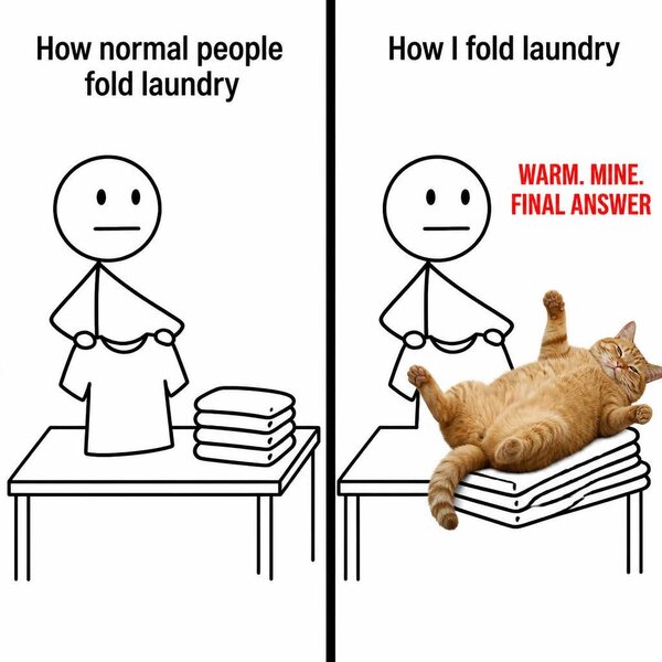 1000046679.jpg