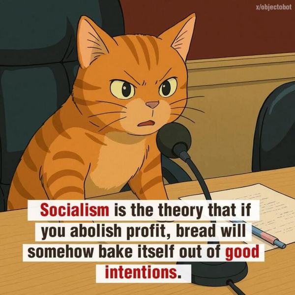 1778622989889.png