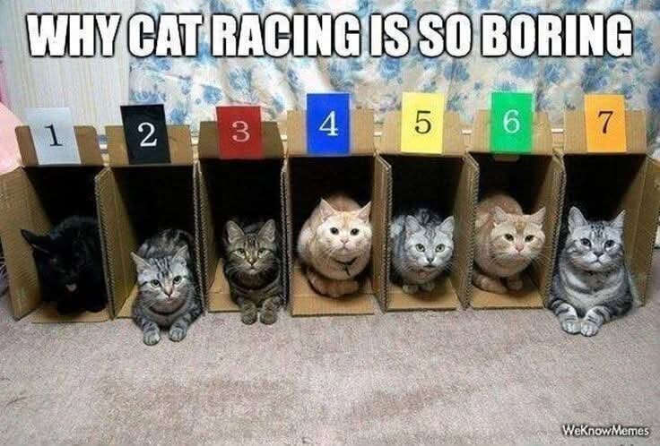 1000046998.jpg