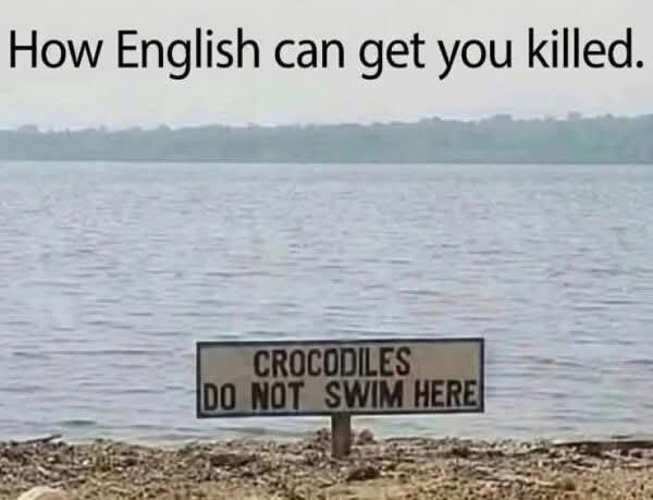 1000048968.jpg