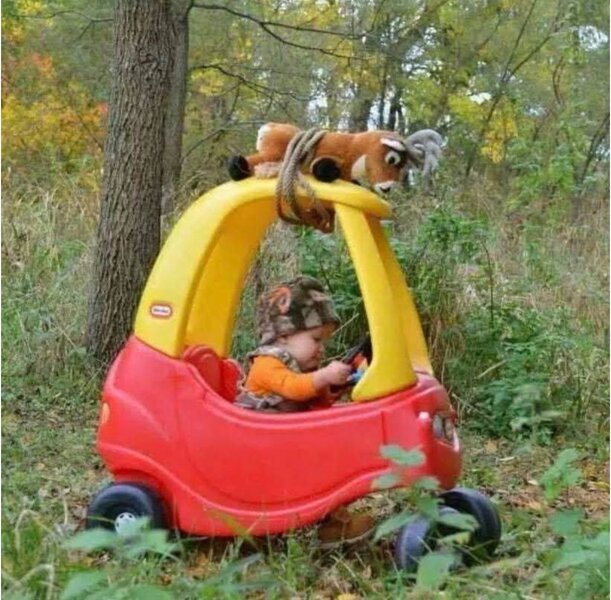3699.jpg