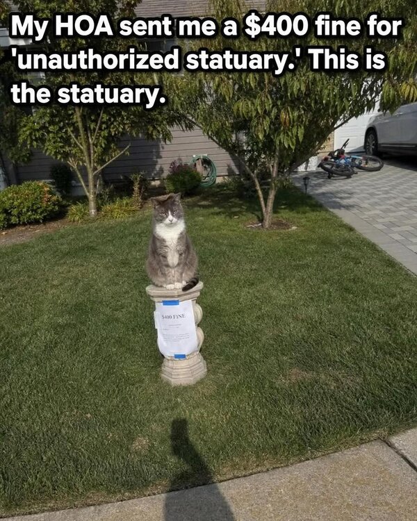 1000049203.jpg