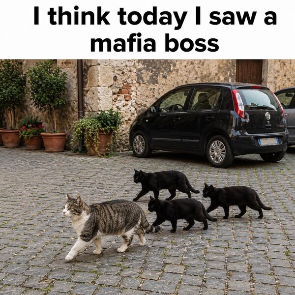 1000049423.jpg
