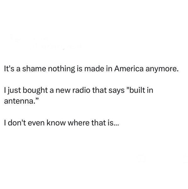 1000050076.jpg