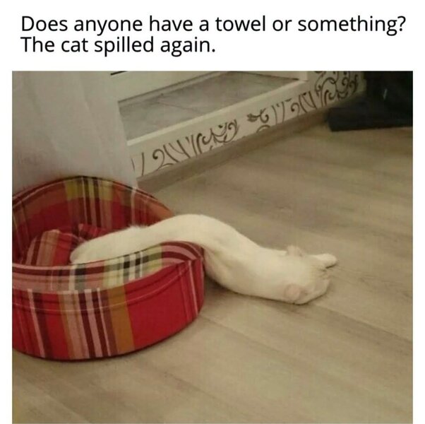 1000050849.jpg