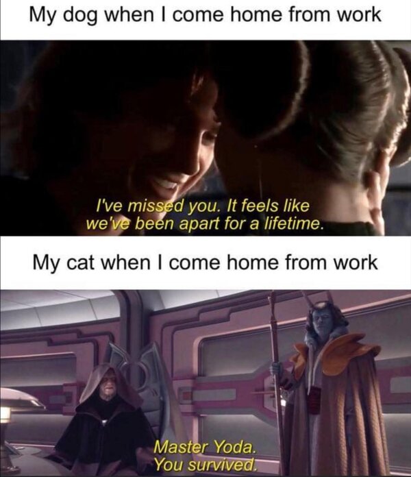 1000051810.jpg