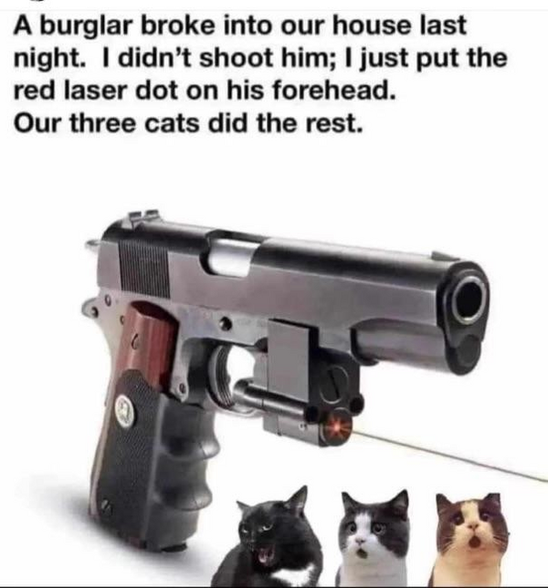 1784997129567.png
