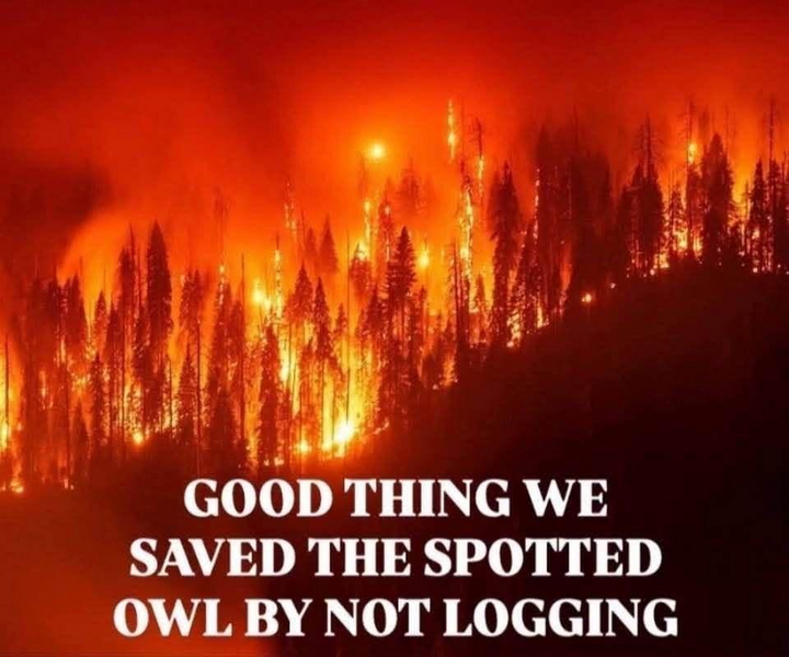 1785789518047.png