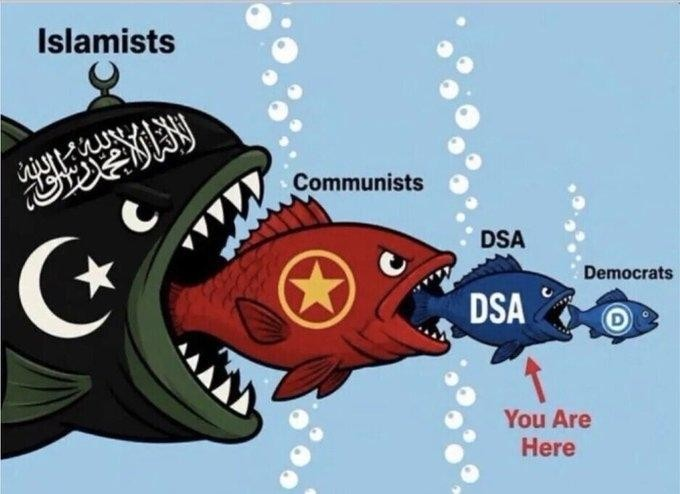 1786013268163.png