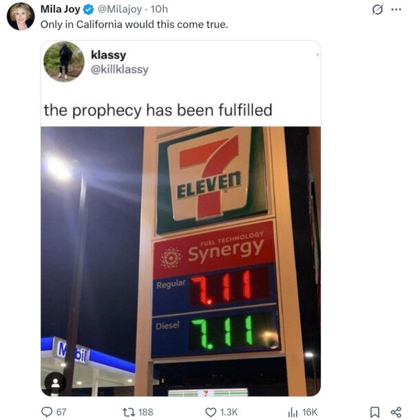 10681.jpg