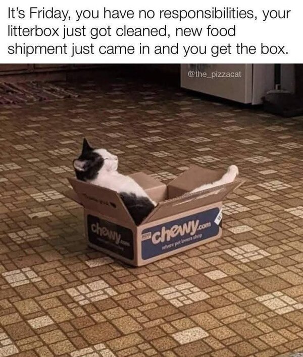1000053628.jpg