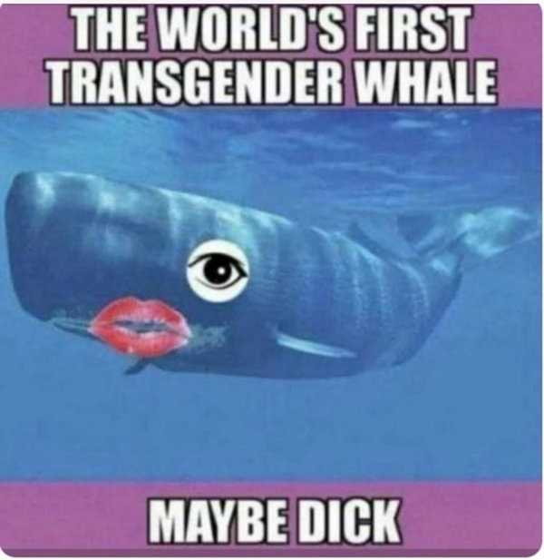 1787071780806.png