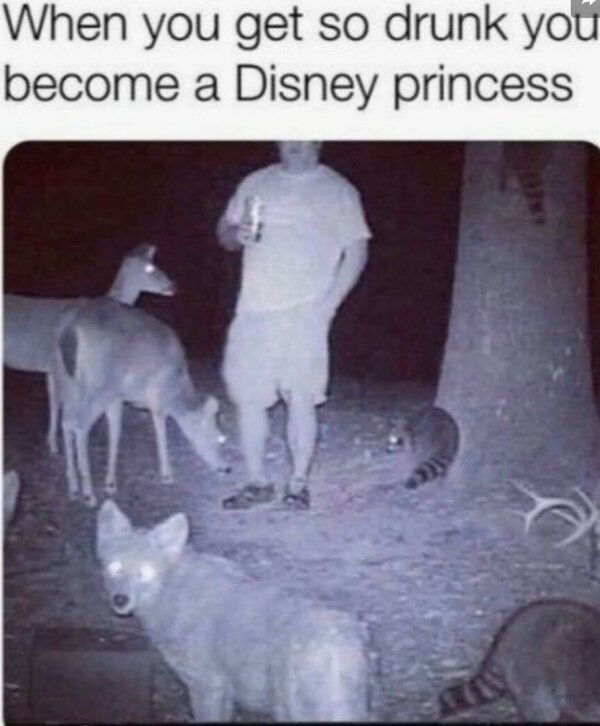 12890.jpg